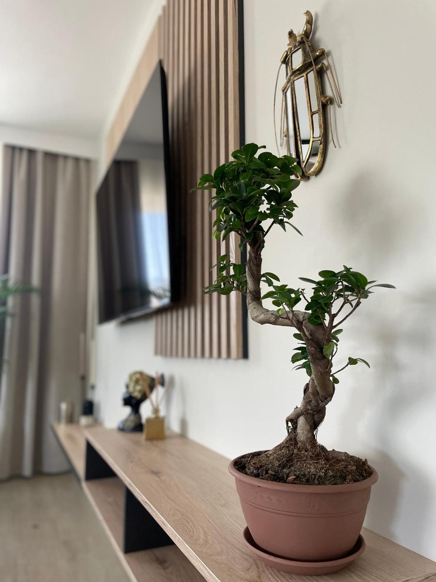 Apartament 13 Kielce Exteriör bild